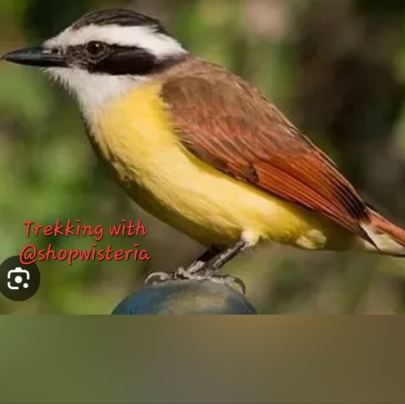 I'm featured today - Picture 6 of 15